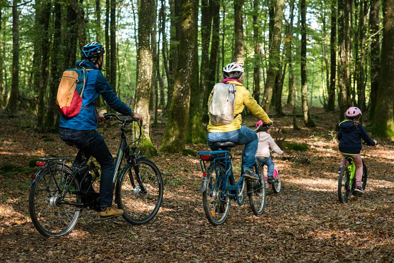 Famille en balade dans la forêt de Senonches